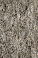 Closeup image of pressed wood texture