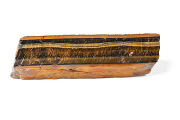 Fototapeta premium Long brown ammonite mineral