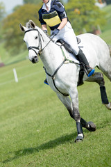 Horse and rider at a show jumping event