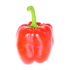 Colored Fresh Sweet Pepper Isolated on White Background