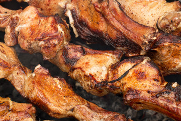 Juicy pieces of grilled meat, detailed.