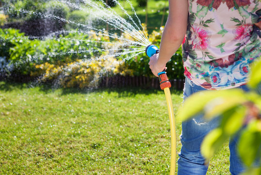 Woman's hand with garden hose watering plants