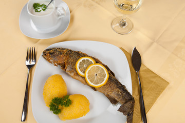 Fried Fish served with side salad, and mash potatoes.