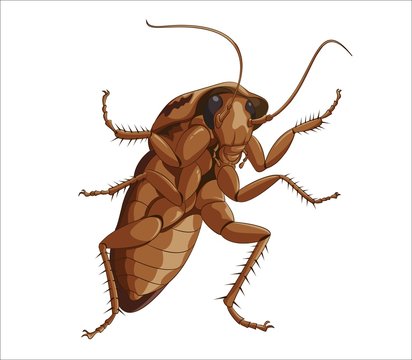 Cockroach Cartoon Images – Browse 5,963 Stock Photos, Vectors, and Video |  Adobe Stock