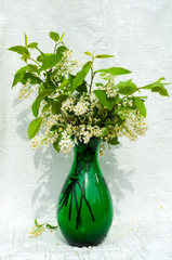 still life bouquet with bird cherry tree flowers in a green vase