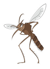 Bad mosquito