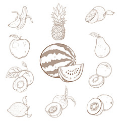 Collection of  fruins