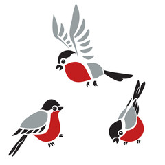 Bullfinches