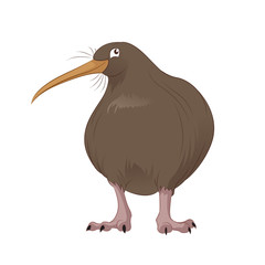 Vector Kiwi