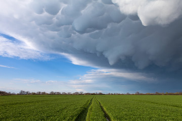 Mammatus clouds above a green grass with a road