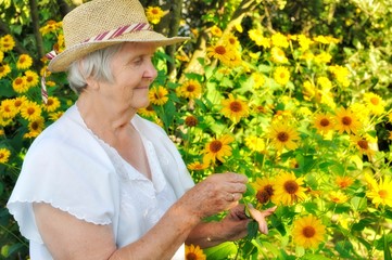 Senior woman in garden full of flowers.