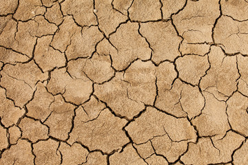 Cracked and dried mud texture