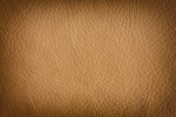 Natural leather background
