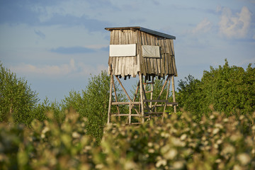 Budka myśliwego