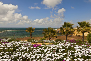Seascape on the Mediterranean coast.