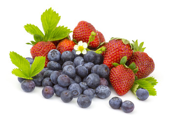 fresh fruits on white background