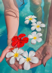 spa background of women's hands