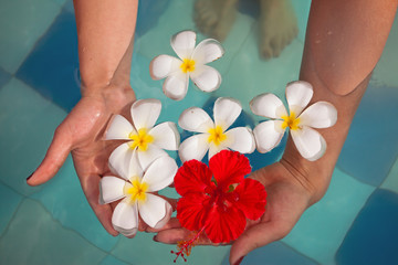 spa background of women's hands