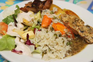Rice and chicken breast