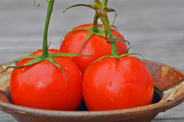 Tomaten