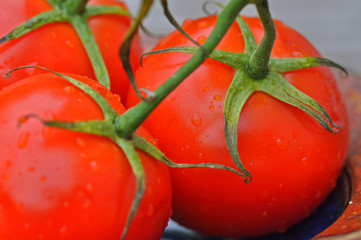 Tomaten