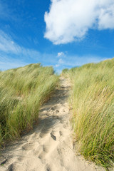 Sand dunes at the coast