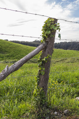 Single fence pole 2