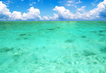 Fototapeta premium sea