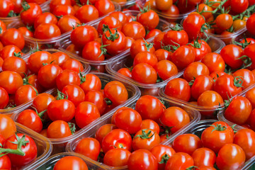 Fresh Tomatoes at a Market