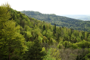 Obraz premium Albtrauf (Schwäbische Alb) im Frühjahr