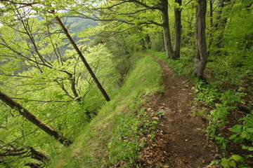 Weg am Albtrauf (Schwäbische Alb) im Frühjahr