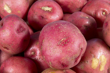 Small Red Potatoes 