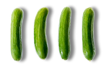 Delicious fresh whole mini cucumbers