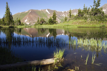 View of the Elk Mountains reflected in a pond at Paradise Divide