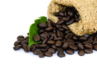 coffee beans.