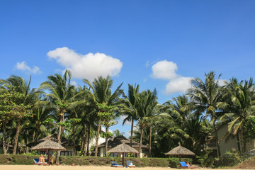 Fototapeta premium the resort in vietnam
