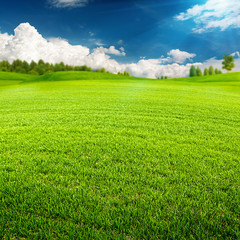 Summer time, abstract environmental backgrounds for your design