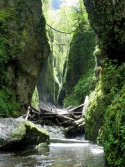 Oneanta Gorge in Oregon