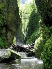 Photo sur Plexiglas Canyon Oneanta Gorge in Oregon