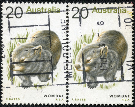 stamp printed in Australia shows image of a Wombat,