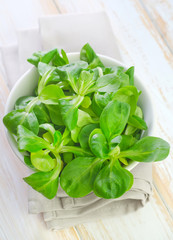 cornsalad