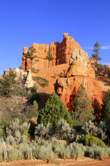 Mossy cave trail &agrave; Bryce Canyon