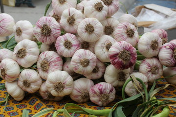 Belles gousses d'ail