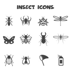 insect icons