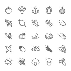 Fototapeta na wymiar Set of Outline stroke Vegetable icon