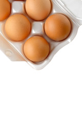chicken eggs