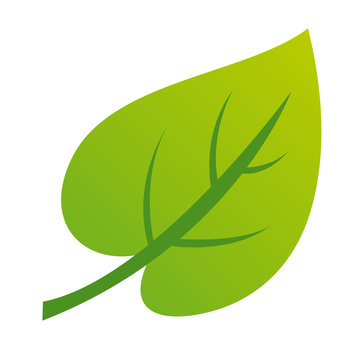 Gr&uuml;nes Blatt