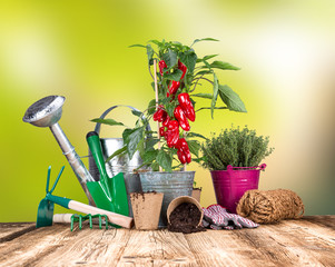 Outdoor gardening tools and herbs