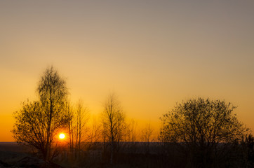 Obraz premium Sunset sun and silhouettes of trees