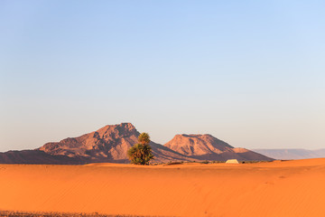 Fototapeta na wymiar Sahara desert in the morning light, morocco